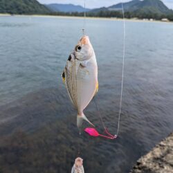 エサは鮮度が命